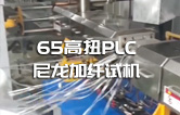 65高扭+PLC，尼龍加纖雙螺桿造粒機試機